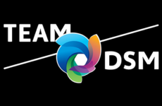 logo team dsm